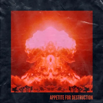 Appetite for Destruction cover art