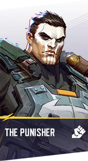 the Punisher cover art