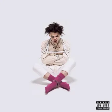 21st Century Liability cover art